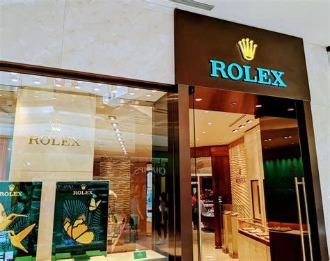 rolex tampa|Rolex dealerships in Tampa.